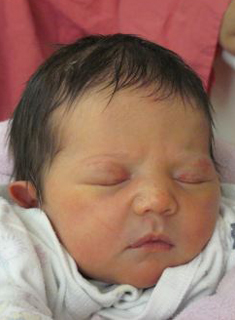 תמונת פוגל הדס ציפורה ז"ל